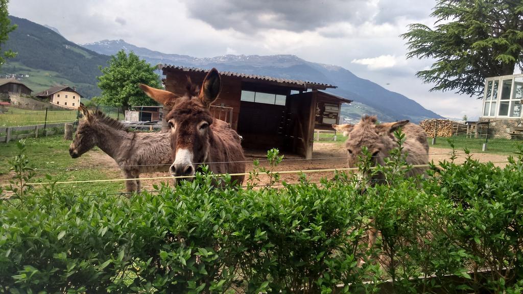 Dillerhof Daire Laion Dış mekan fotoğraf