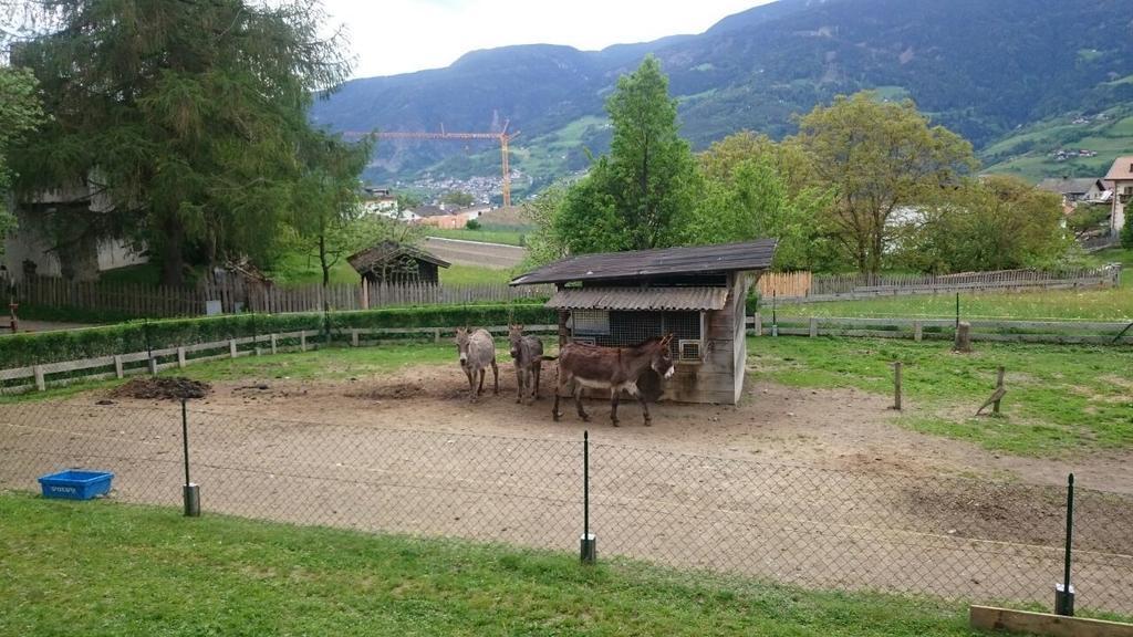 Dillerhof Daire Laion Dış mekan fotoğraf